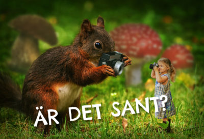 En ekorre håller i en kamera. Den tar en bild på ett barn som är pyttelitet och som också tar en bild på ekorren.