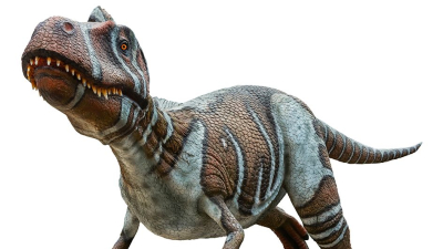 Nanotyrannus