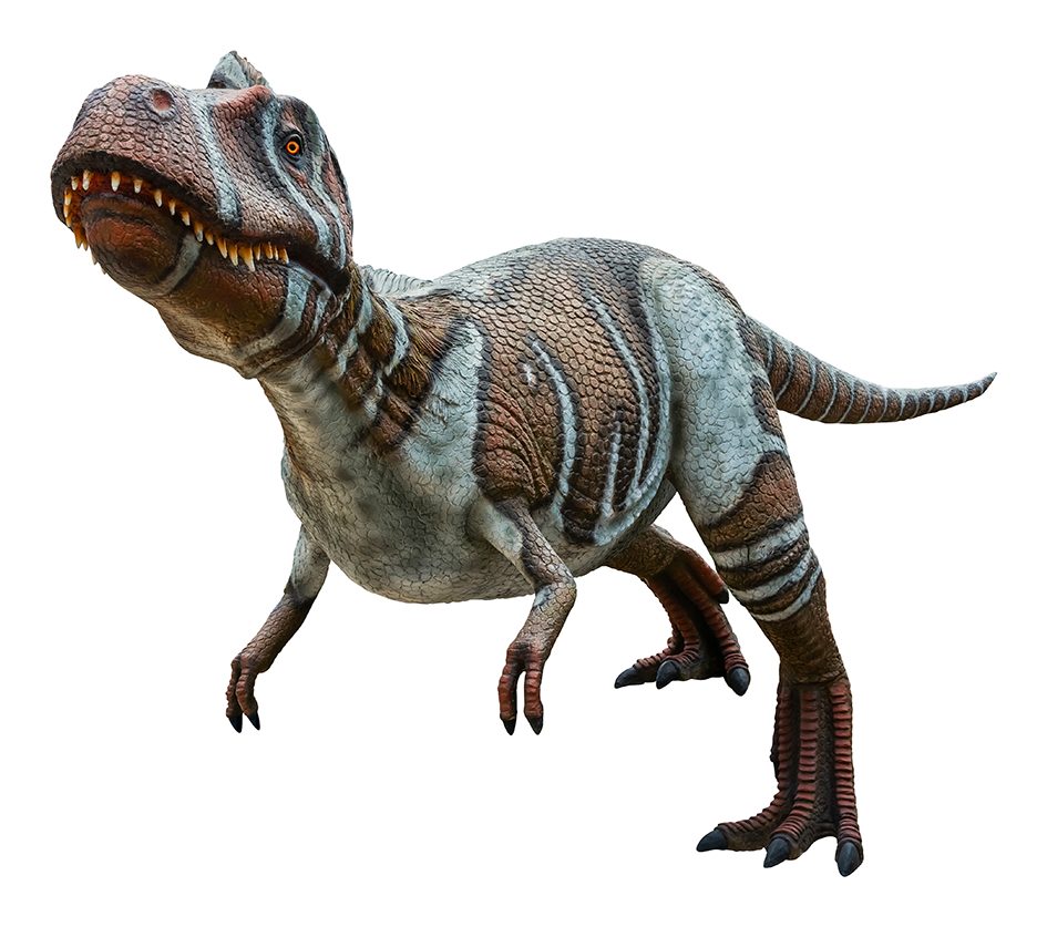 Nanotyrannus